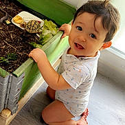 Loann a rejoint le concours — aidez-le/la à gagner de superbes lots ! toddler, child, baby, indoor, plant, planter_box, tortoise, lettuce, floor, wooden, curious, kneeling, natural_light, window, green, soil, food, cute, exploring, happy