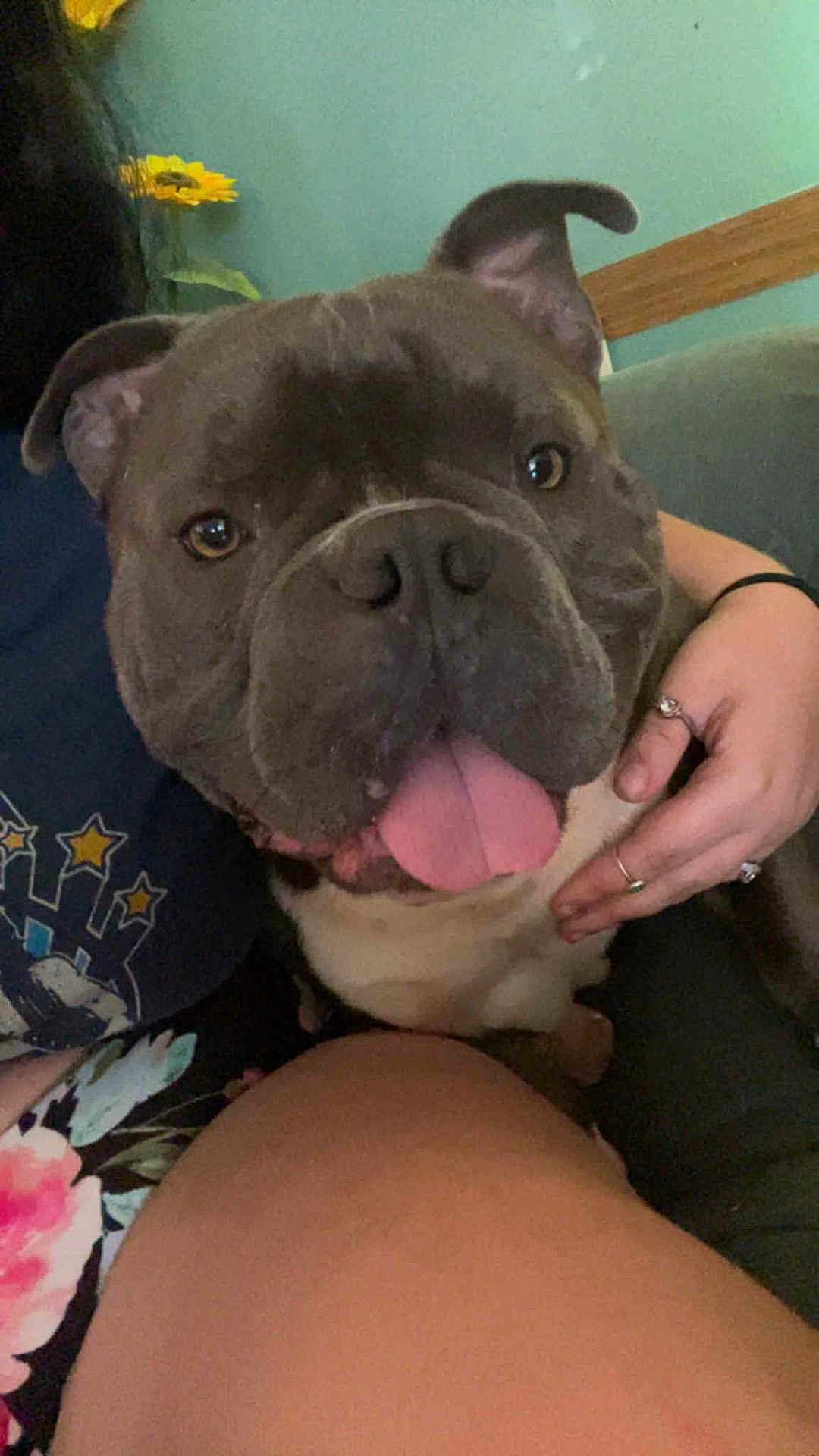Diego