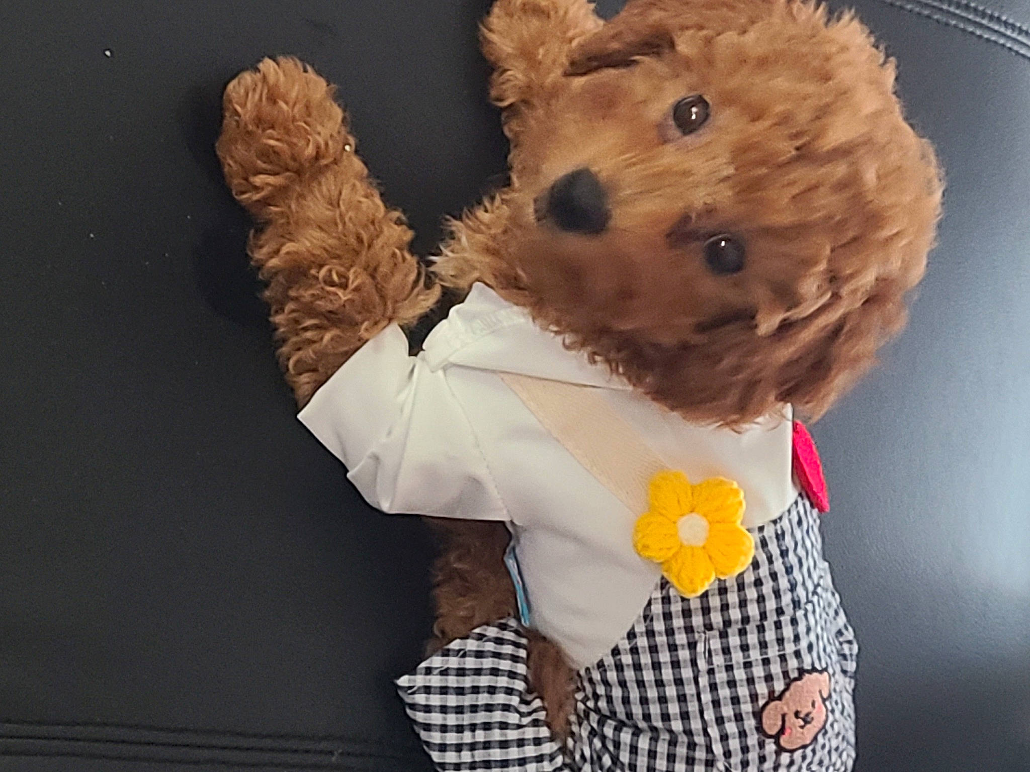 Bambam joined the competition — help win amazing prizes! bear, bow_tie, button, child, collar, costume, dress_shirt, felidae, fun, fur, gesture, happy, mascot, pattern, plush, selfie, sleeve, stuffed_toy, teddy_bear, toy