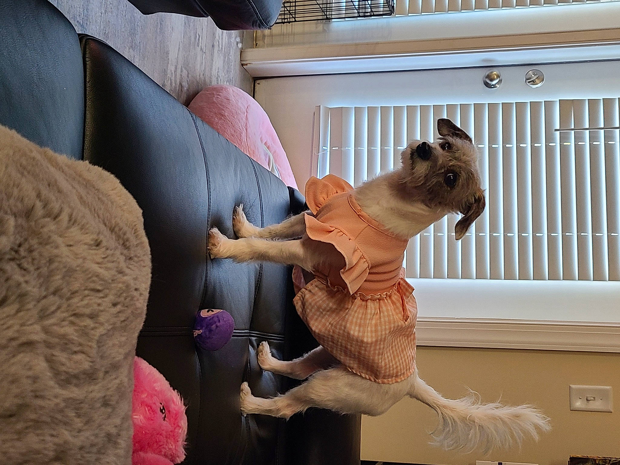 Pebbles joined the competition — help win amazing prizes! art, building, ceiling, comfort, fawn, felidae, flooring, fun, museum, room, sculpture, tail, tourist_attraction, toy, visual_arts, window, wood