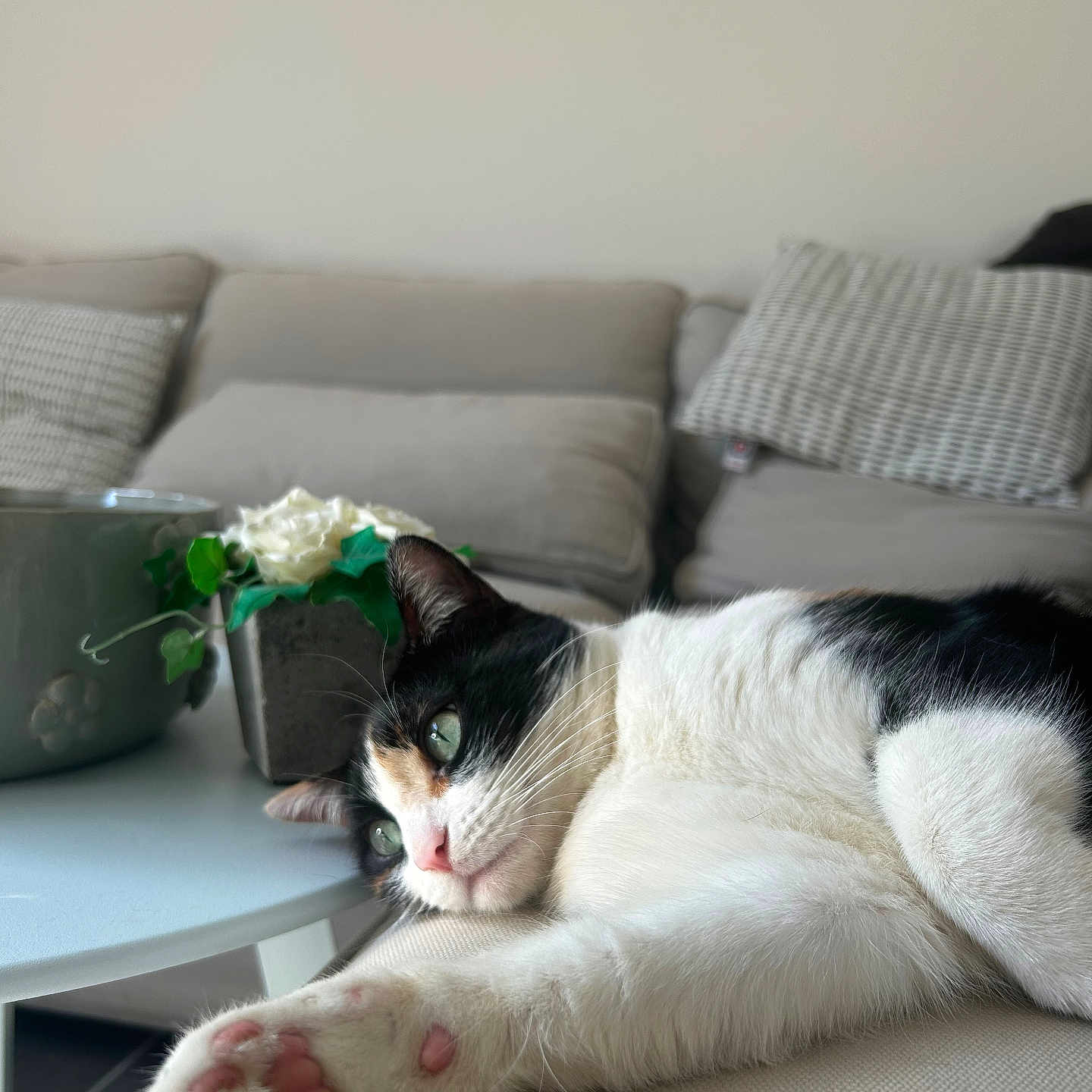 Nina