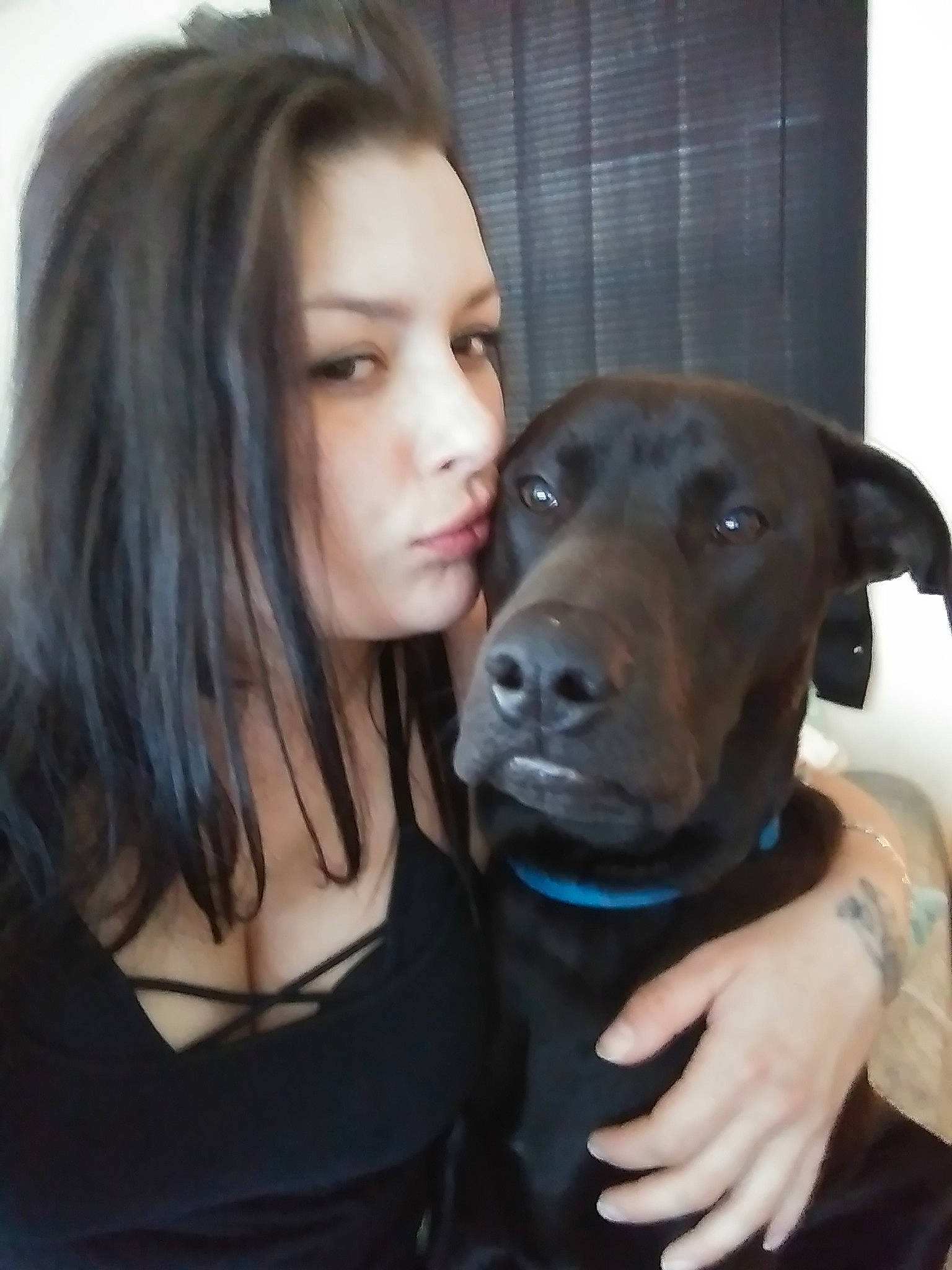 Rufus joined the competition — help win amazing prizes! dog, dog_breed, dog_breed_group, dog_like_mammal, ear, guard_dog, nose, person, snout, sporting_group