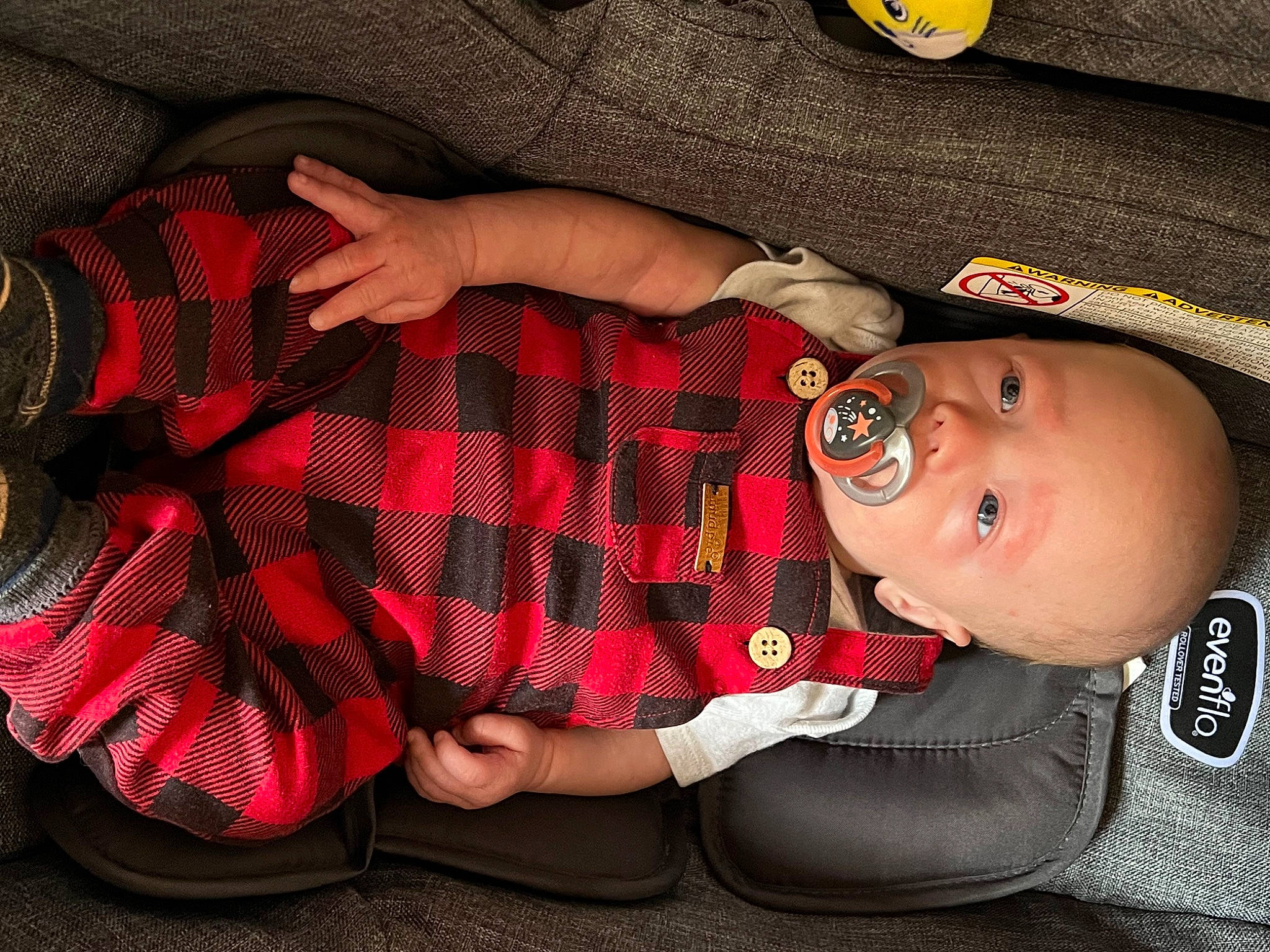 Emory is registered to the contest to win money with this photo: baby, baby_products, baby_toddler_clothing, carmine, child, comfort, fashion_accessory, human_leg, nail, pattern, person, plaid, plant, sleeve, smile, tartan, textile, thigh, toddler, tree