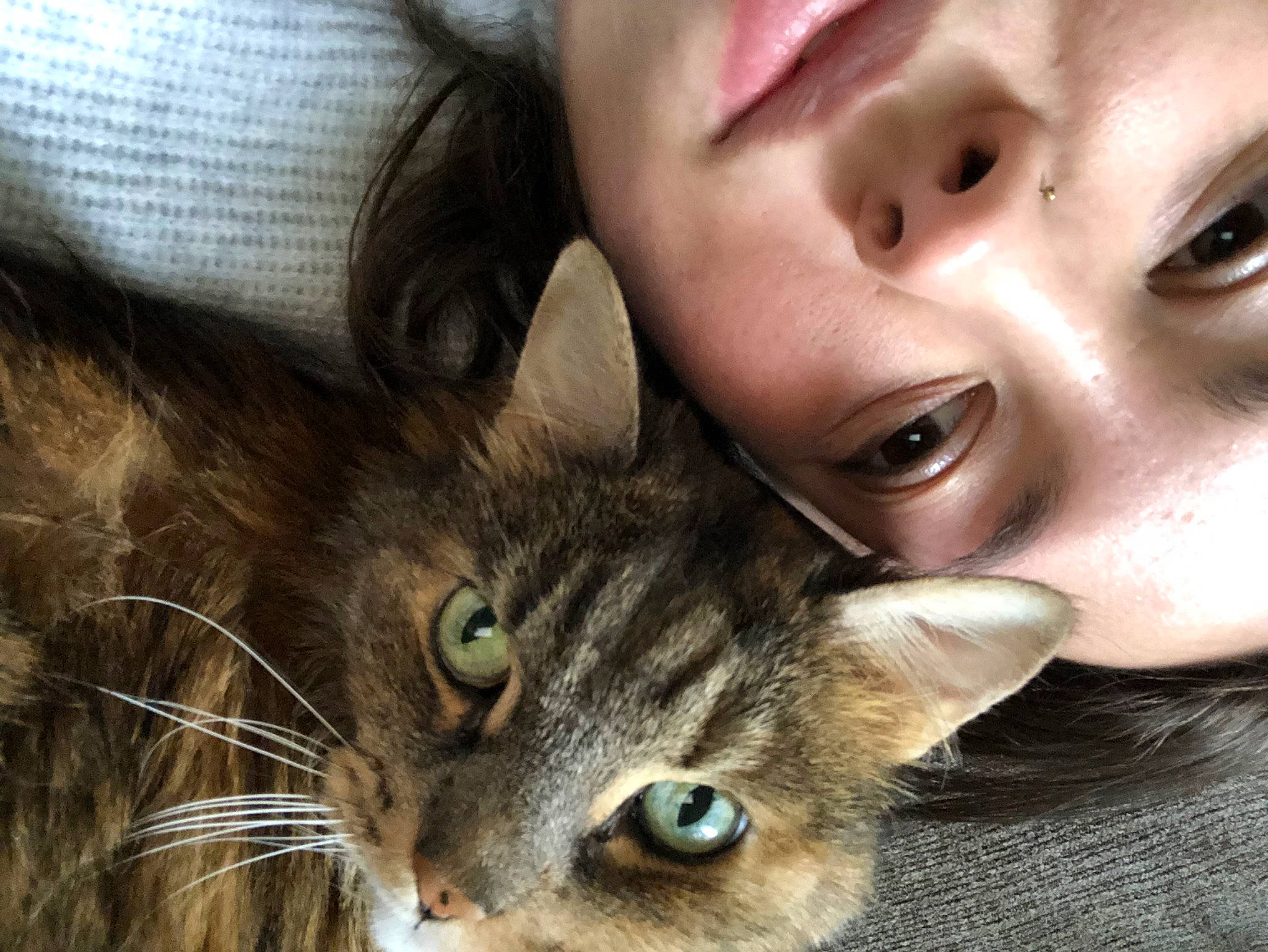 Rosalie is registered to the contest to win money with this photo: carnivore, cat, cheek, close_up, domestic_short_haired_cat, ear, eyelash, felidae, fur, gesture, happy, iris, nose, paw, photo_caption, selfie, skin, small_to_medium_sized_cats, snout, whiskers