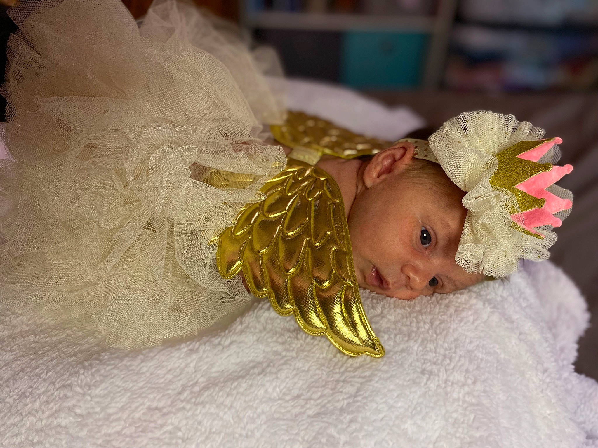 Nevaeh joined the competition — help win amazing prizes! angel, baby, baby_toddler_clothing, child, costume, costume_accessory, costume_hat, event, eye, fashion_accessory, fun, fur, hair_accessory, happy, headgear, headpiece, headwear, linens, person, petal