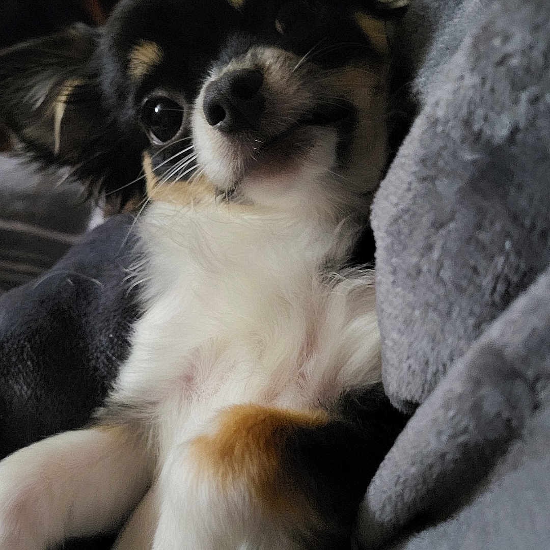 Vicky