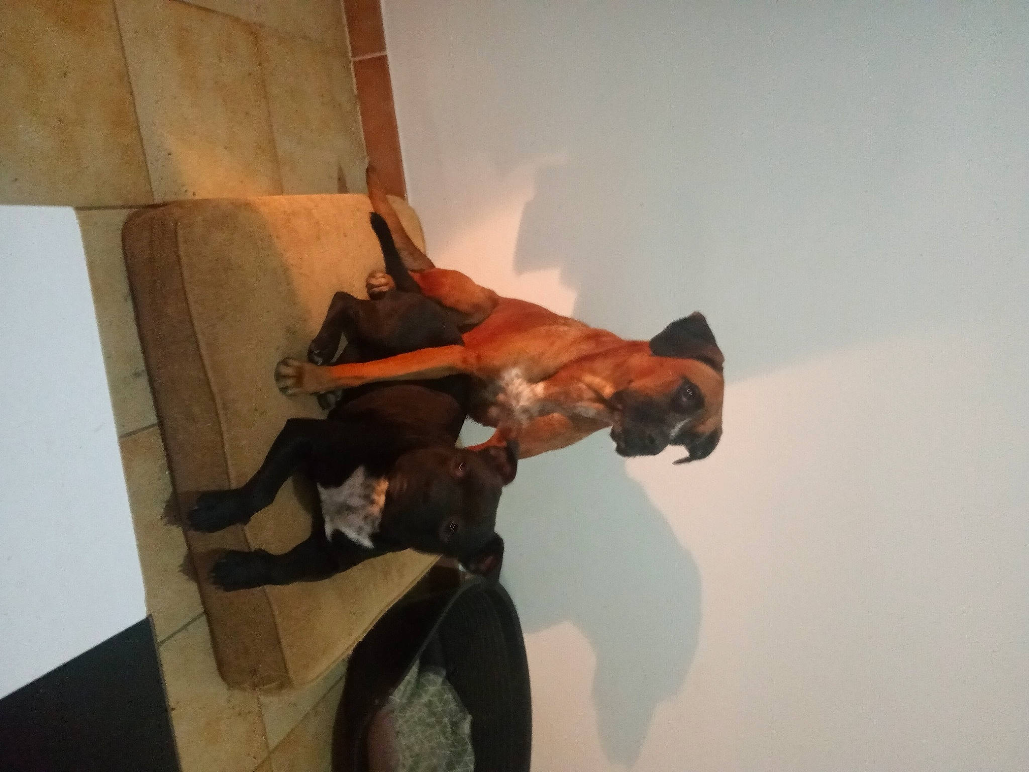 Chonko participe au concours pour gagner de l'argent avec cette photo : art, calf, comfort, dress, elbow, event, flooring, gesture, human_leg, knee, performance_art, plaster, room, sandal, sculpture, shadow, thigh, tourist_attraction, visual_arts, wood