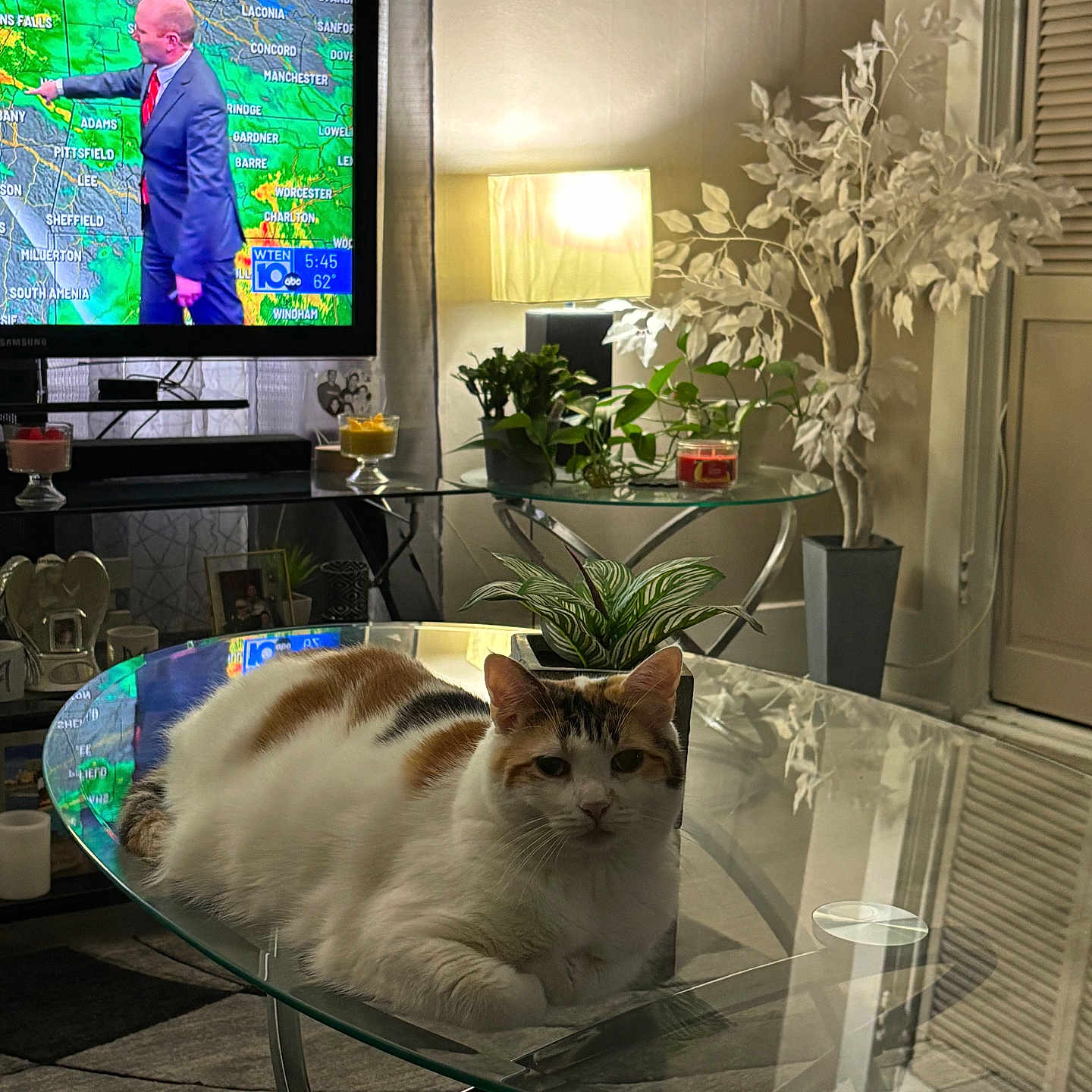 Mia