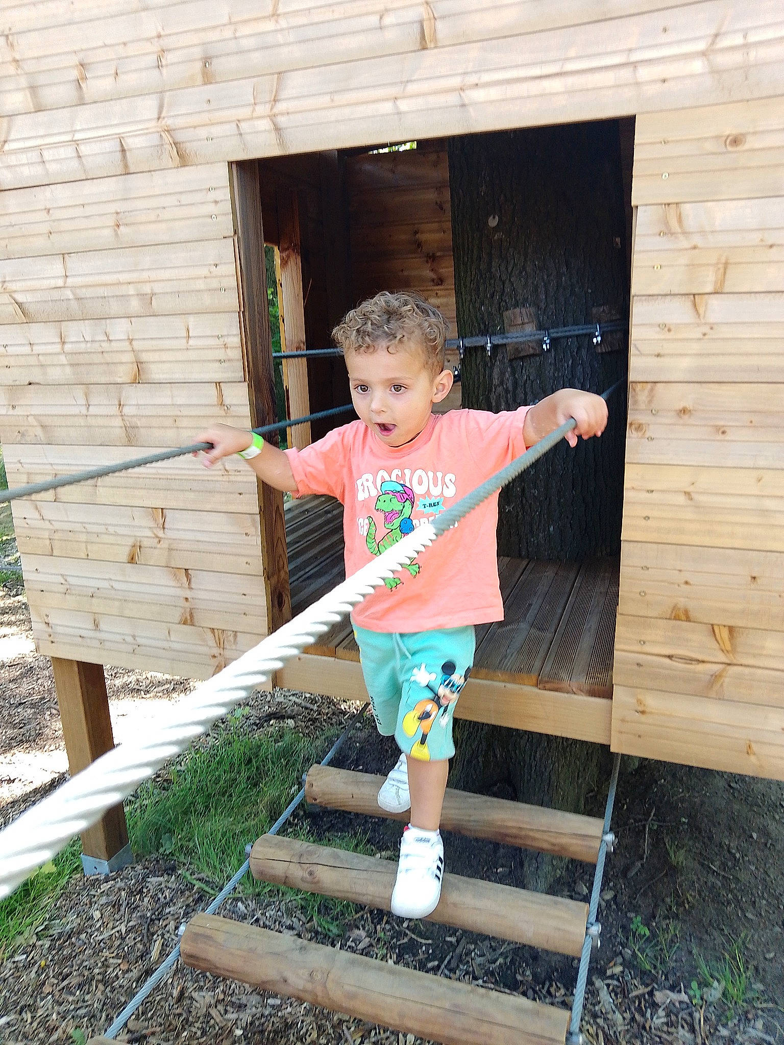 Maylon a rejoint le concours — aidez-le/la à gagner de superbes lots ! baby_toddler_clothing, child, door, fun, grass, home, house, leg, leisure, people_in_nature, person, plant, porch, shorts, siding, surprise, t_shirt, toddler, tree, waist