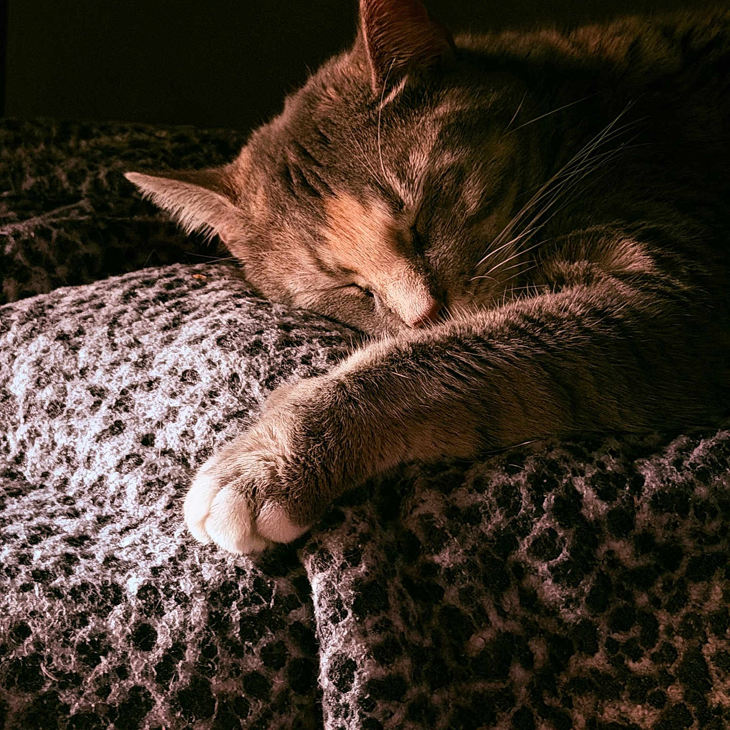 Mindy
