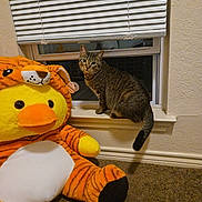 Elara is registered to the contest to win money with this photo: cat, tabby_cat, plush_toy, stuffed_animal, window, window_blinds, carpet, indoor, wall, yellow, orange, animal_costume, toy, pet, feline, curious, sitting, cozy, cute, home