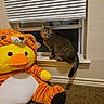 cat, tabby_cat, plush_toy, stuffed_animal, window, window_blinds, carpet, indoor, wall, yellow, orange, animal_costume, toy, pet, feline, curious, sitting, cozy, cute, home