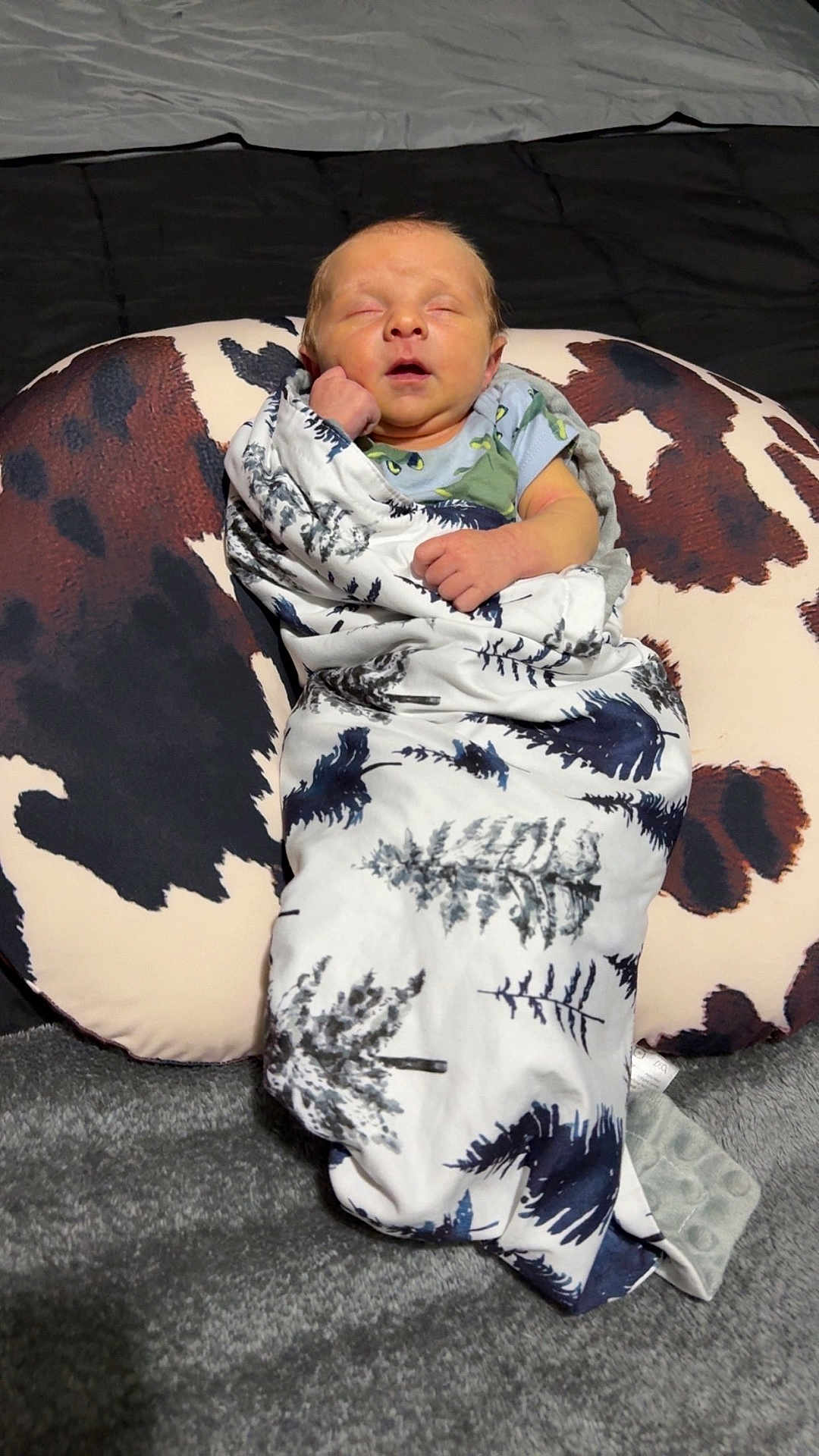 Rhyatt is registered to the contest to win money with this photo: newborn, baby, blanket, sleeping, infant, pillow, cow_print, pattern, wrapped, resting, soft, cozy, indoor, bedroom, cute, peaceful, child, person, nursery, comfort