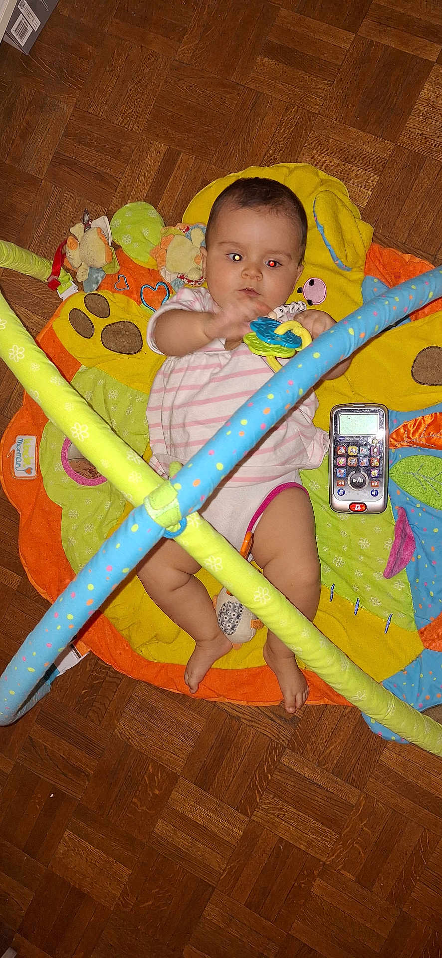 Dayana