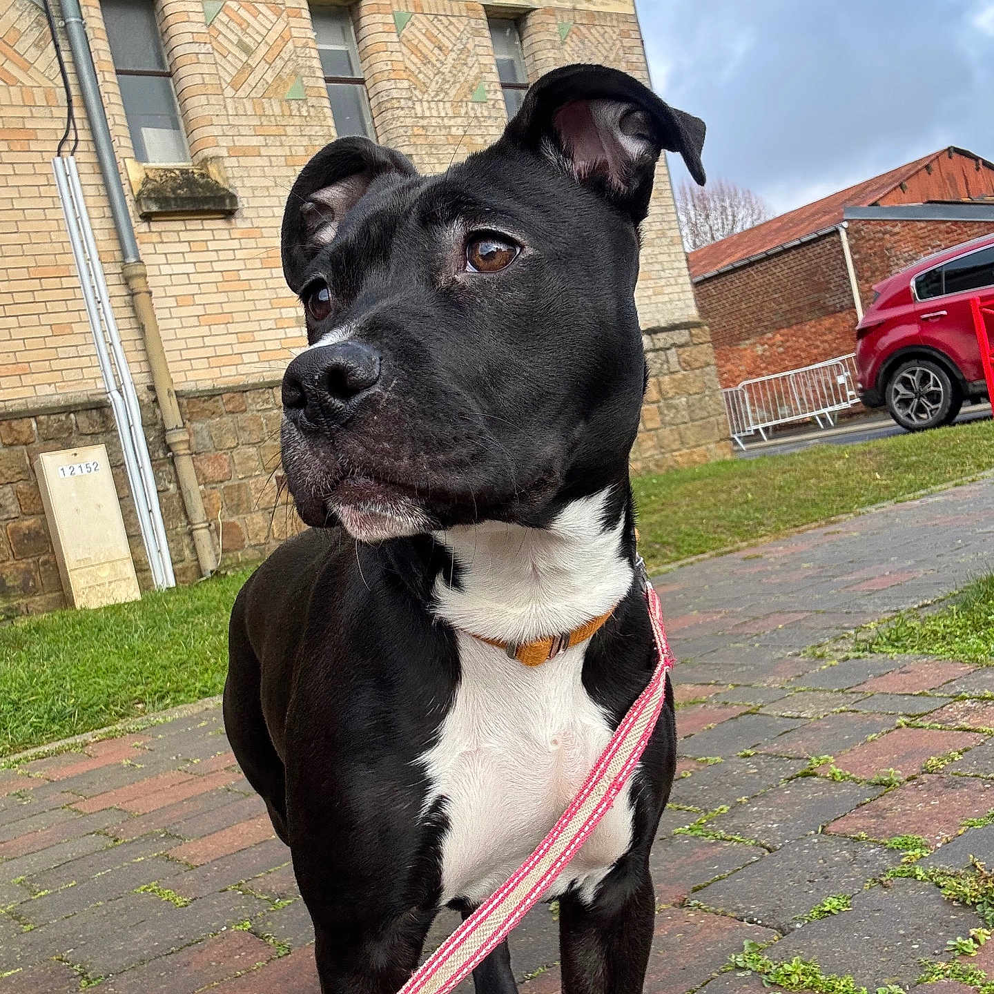 Nala
