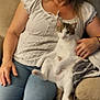 woman, cat, couch, indoor, smile, glasses, jeans, white_shirt, gray_hair, pet, relaxing, furniture, casual, home, comfort, lap, tail, hand, seated, blur