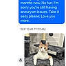 animal, cat, cat_tree, cats, cubby, feline, front_paws, gray, home, indoor, lounging, messenger_screenshot, orange, orange_and_white, pet, pet_furniture, portrait, scratching_post, sitting, white