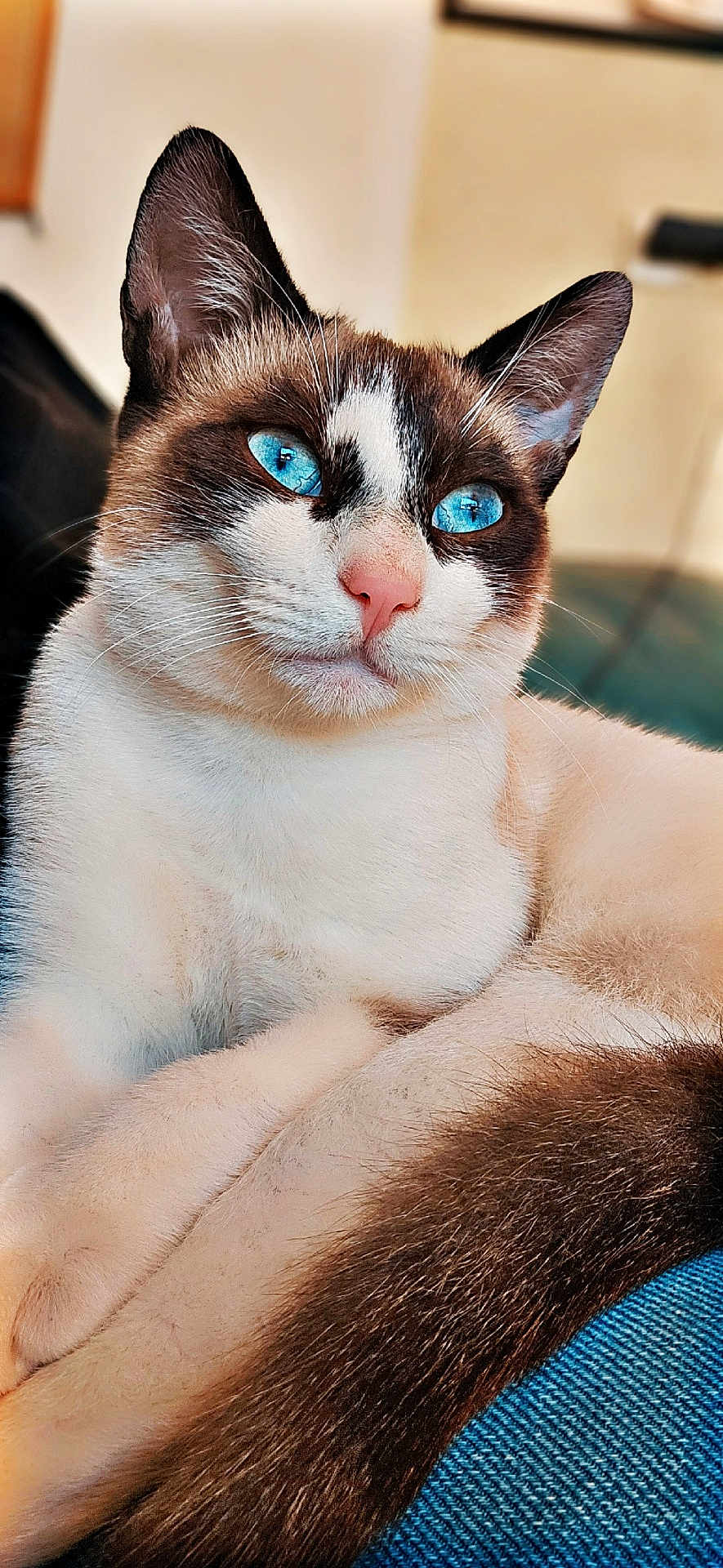 Lucifer