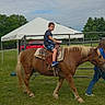 Keith is registered to the contest to win money with this photo: child, boy, pony, horse, riding, grass, outdoor, tent, person, animal, summer, recreation, nature, fence, casual_clothing, footwear, daytime, greenery, activity, leisure
