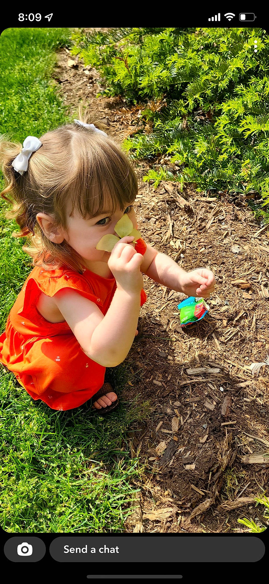 Lucy joined the competition — help win amazing prizes! baby, baby_toddler_clothing, child, finger, fun, garden, gardening, grass, grass_family, grassland, groundcover, hand, happy, leaf, people_in_nature, person, plant, play, soil, thumb