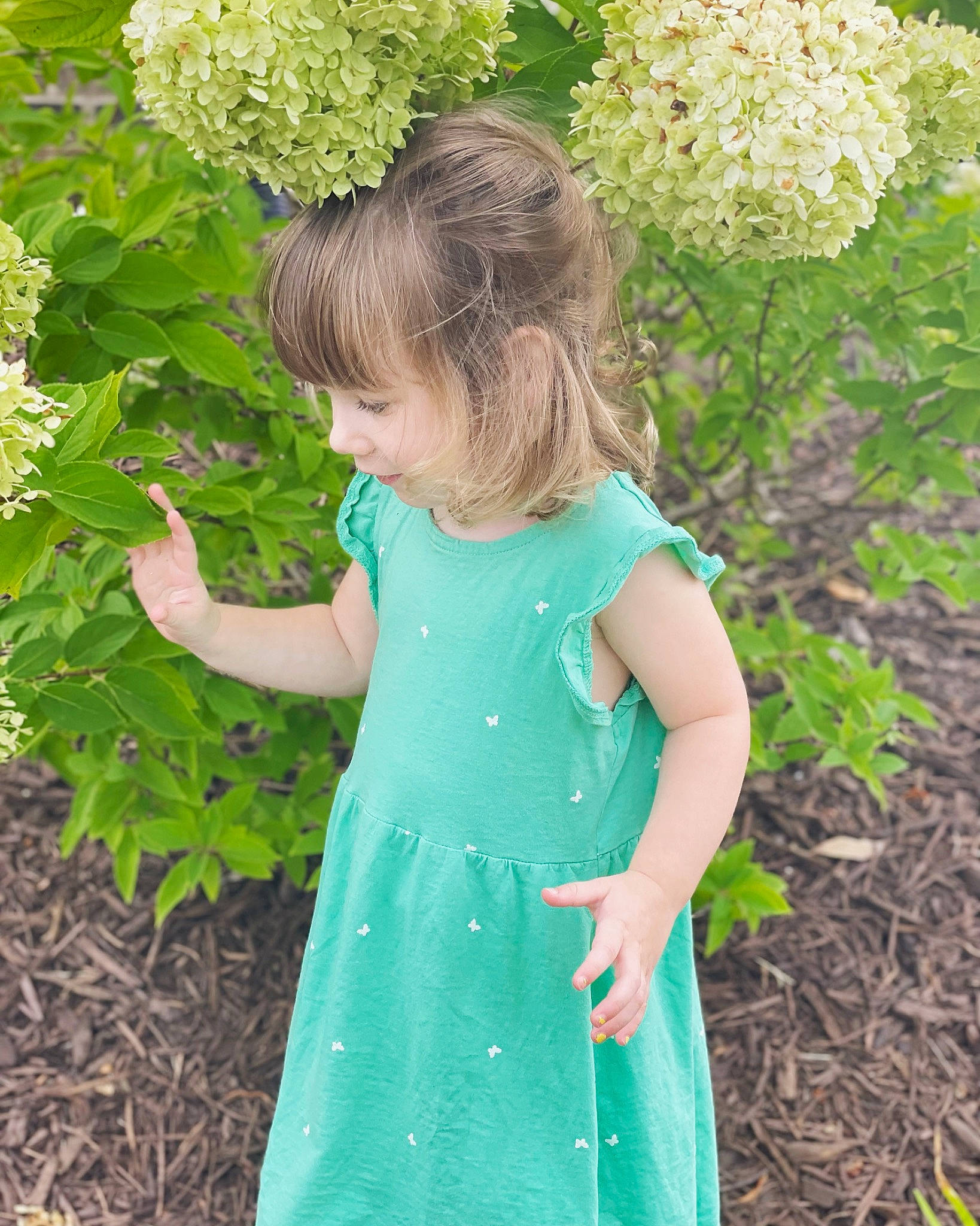 Lucy joined the competition — help win amazing prizes! arm, baby_toddler_clothing, botany, day_dress, flower, gesture, grass, grass_family, green, hand, happy, leaf, one_piece_garment, people_in_nature, person, plant, shoulder, shrub, sleeve, summer