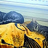animal, blanket, cat, comfort, cozy, domestic_cat, fur, indoor, nap, peaceful, pet, relaxing, resting, sleeping, soft_light, striped, tabby_cat, two_cats, window, yellow_blanket