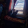 O'Malley And Maxine is registered to the contest to win money with this photo: cat, window, curtains, indoor, pets, furniture, blinds, cushion, silhouette, light, shadow, domestic, cozy, animal, two_animals, looking_outside, home, resting, quiet, companions