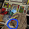 O'Malley is registered to the contest to win money with this photo: animal, art, blanket, cat, chair, colorful, cozy, decor, domestic, framed_posters, furniture, home, indoor, leopard_print, pet, relaxing, sitting, tabby_cat, text_overlay, wall_art
