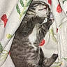 adorable, animal, blanket, comfort, cozy, cute, floral_pattern, fur, indoor, kitten, mammal, paw, pet, resting, sleeping, small, soft, striped, tabby, young