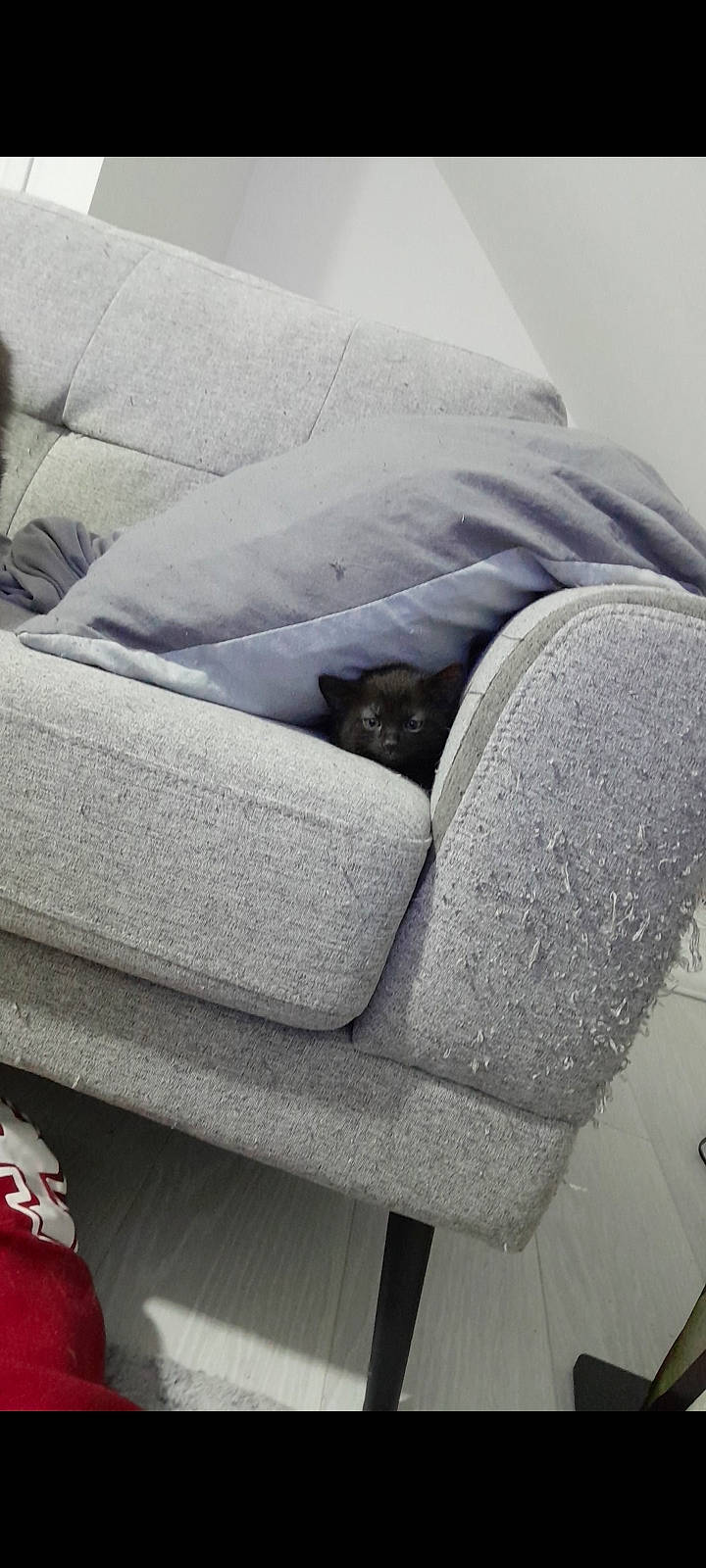 Kira participe au concours pour gagner de l'argent avec cette photo : auto_part, automotive_design, automotive_exterior, automotive_tire, car_seat, car_seat_cover, carmine, comfort, couch, family_car, grey, linens, luxury_vehicle, personal_luxury_car, textile, tints_and_shades, vehicle, vehicle_door, window, windshield