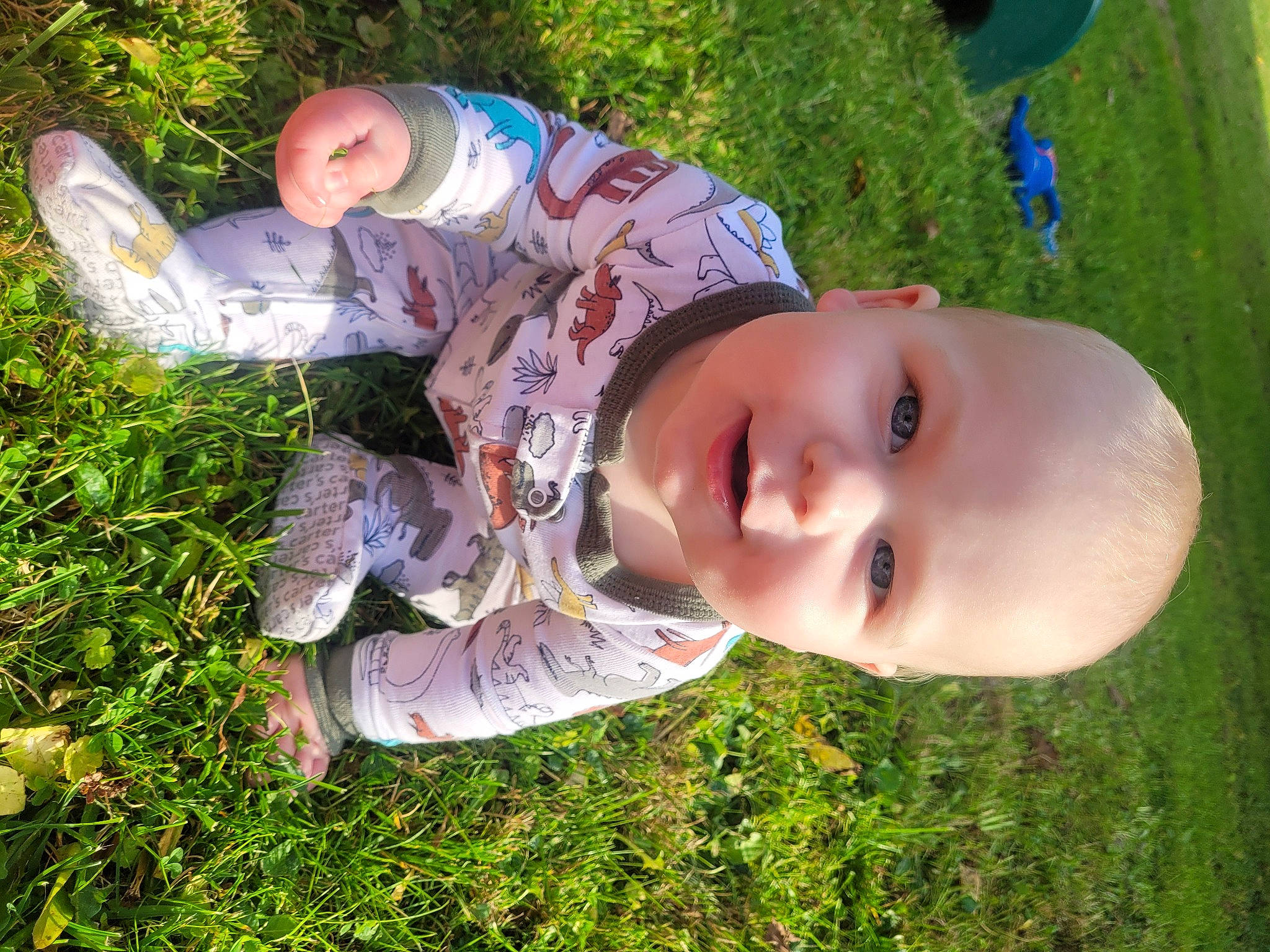 Clayton is registered to the contest to win money with this photo: baby, baby_toddler_clothing, child, fun, grass, grass_family, grassland, happy, hat, landscape, lawn, leisure, people_in_nature, person, plant, play, smile, sun_hat, toddler, tree