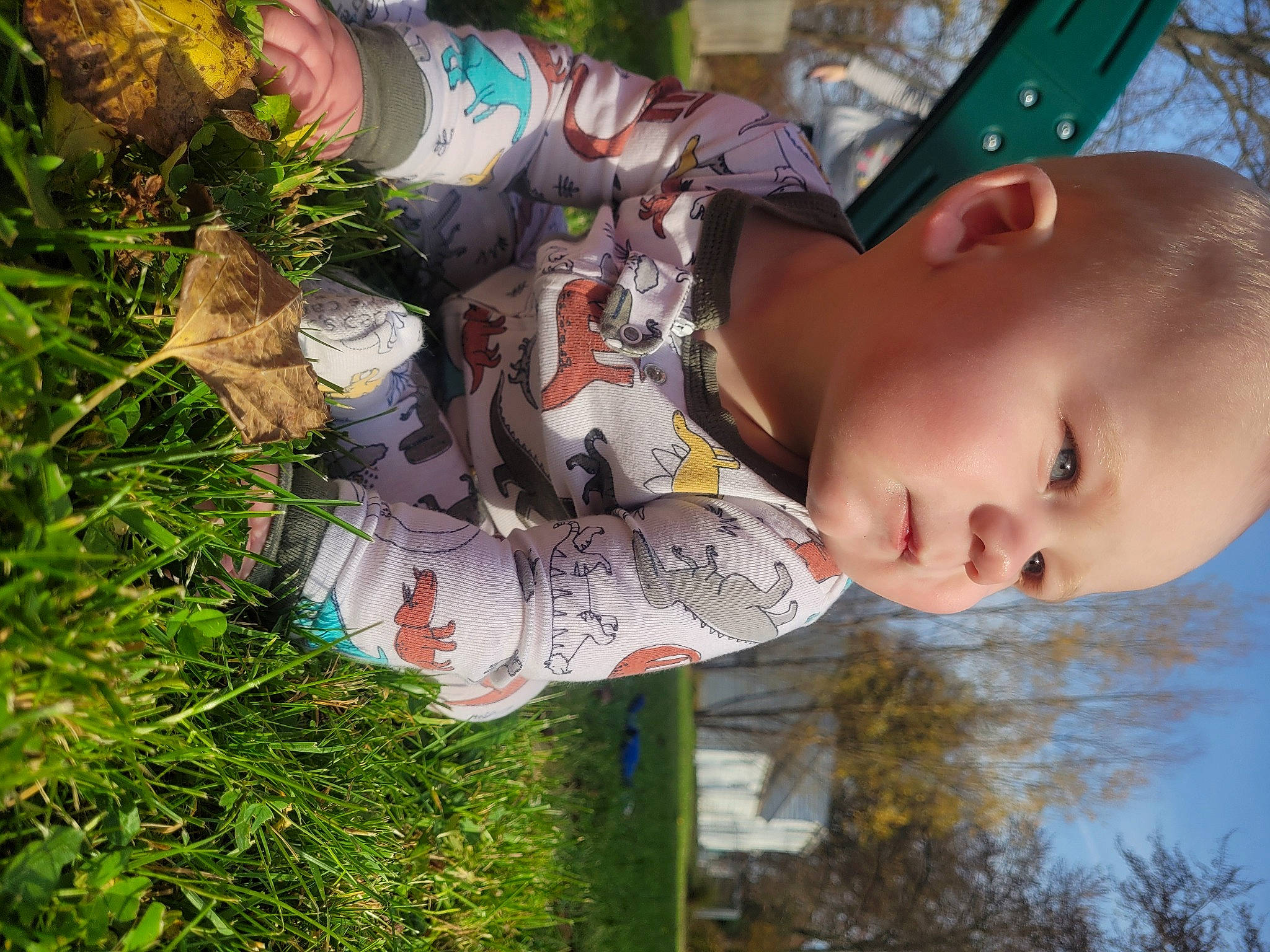 Clayton joined the competition — help win amazing prizes! baby, child, fun, grass, green, groundcover, happy, house, human_leg, leaf, leisure, pattern, people_in_nature, person, plant, sky, toddler, tree, window