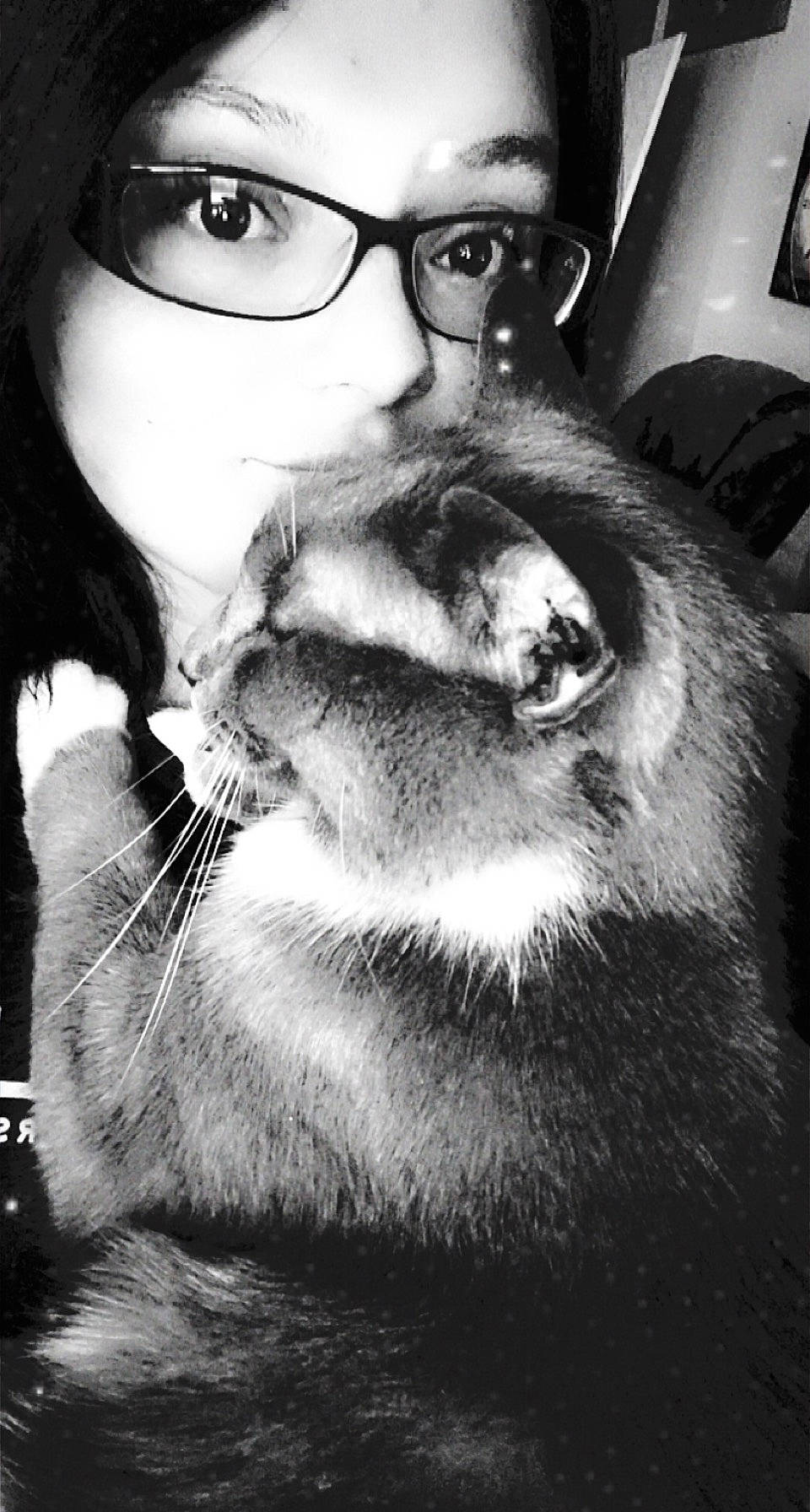 Floof is registered to the contest to win money with this photo: beard, black, black_and_white, carnivore, cat, dog_breed, ear, eye, eyewear, felidae, flash_photography, gesture, glasses, hair, head, jaw, photograph, vertebrate, vision_care, white