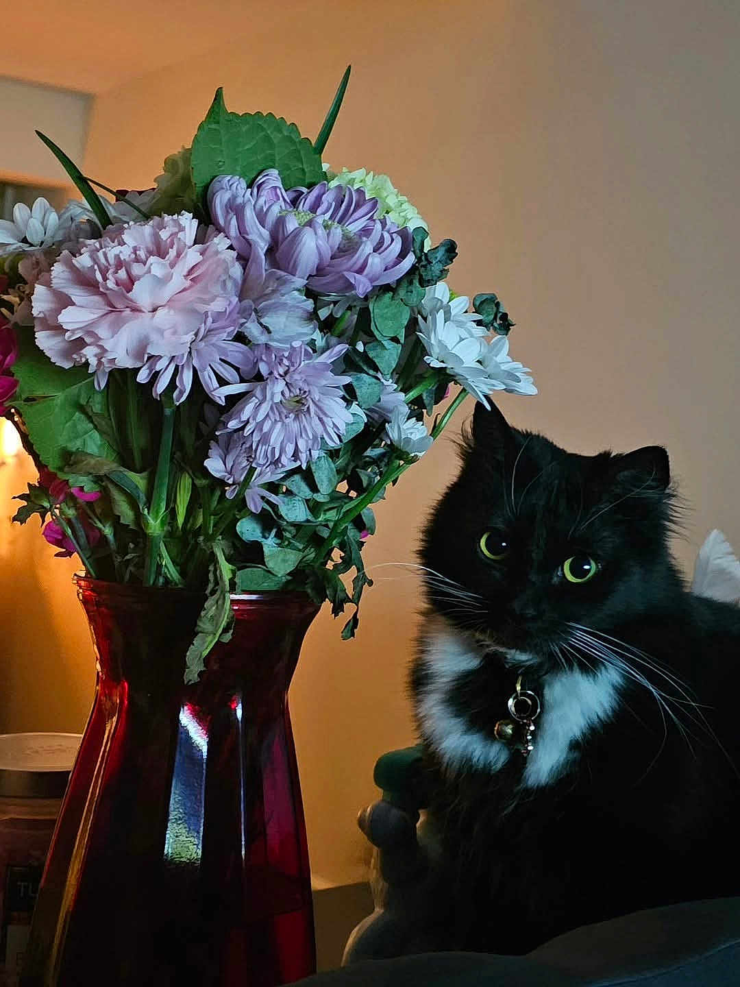 Little Mags is registered to the contest to win money with this photo: black_and_white, bouquet, cat, closeup, collar, decor, domestic_animal, feline, floral_arrangement, flowers, green_eyes, houseplant, indoor, leaf, pet, plant, still_life, table, vase, whiskers