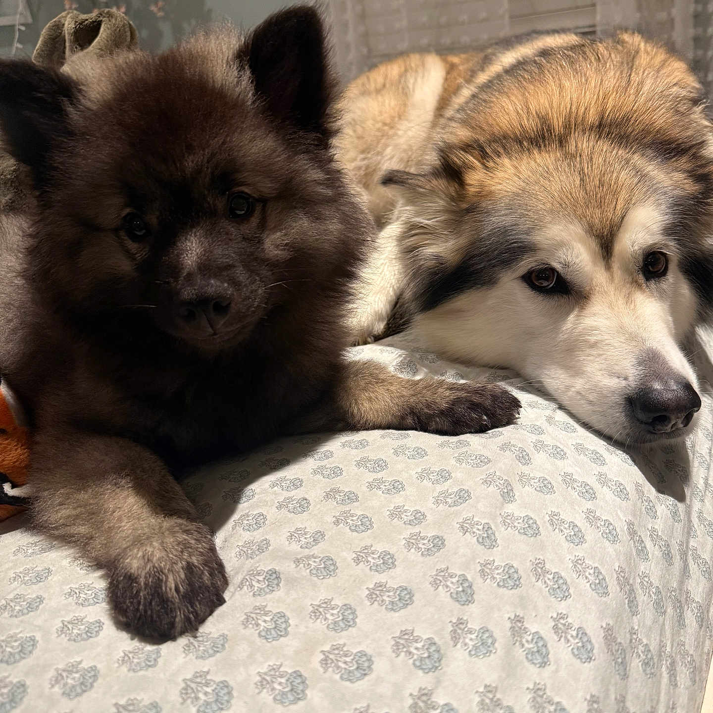 Seminole And Stormi
