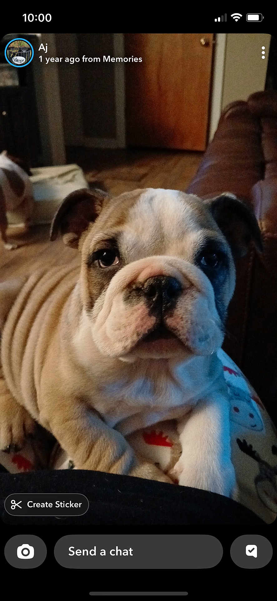 Bella