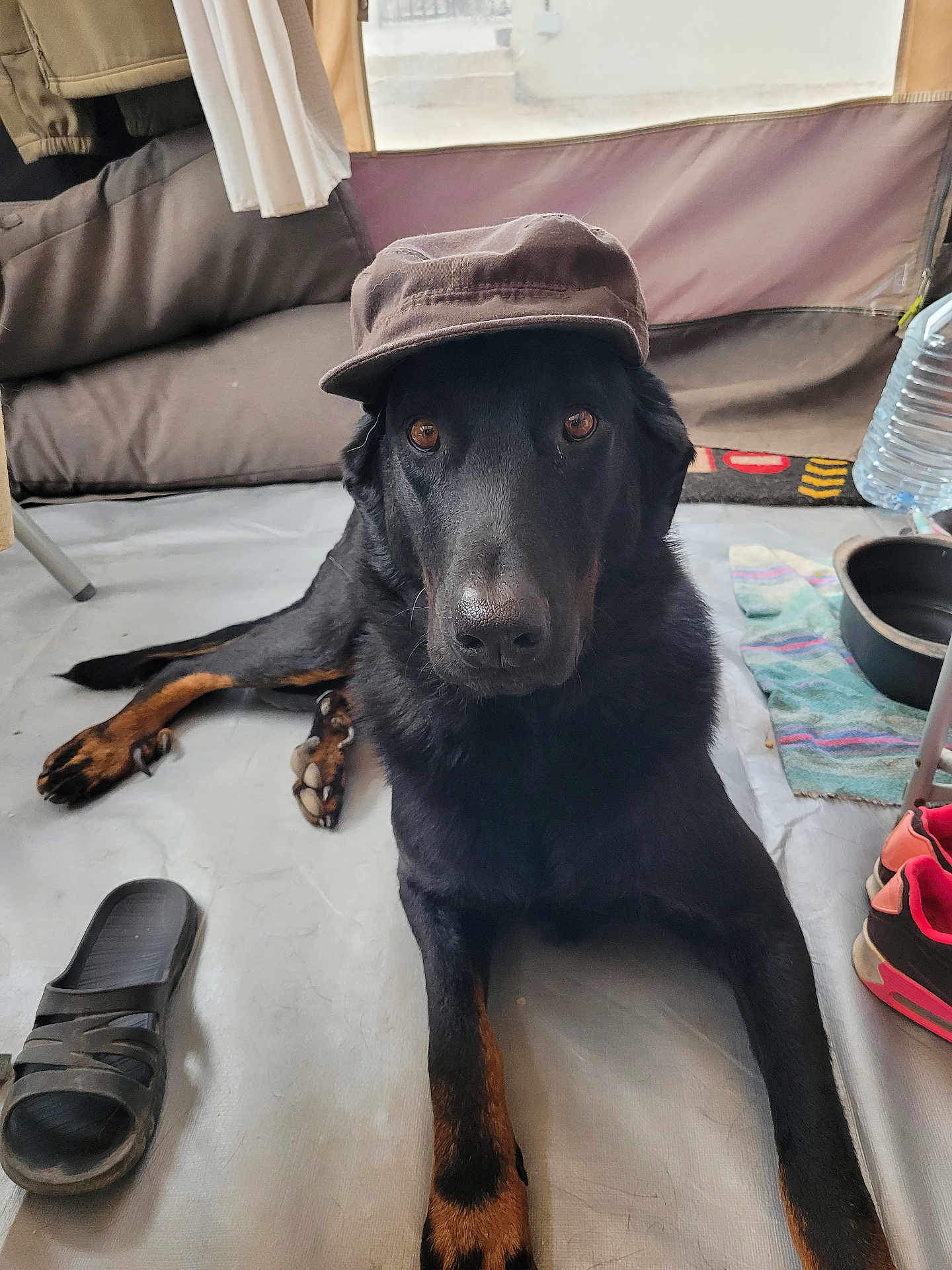 Rambo