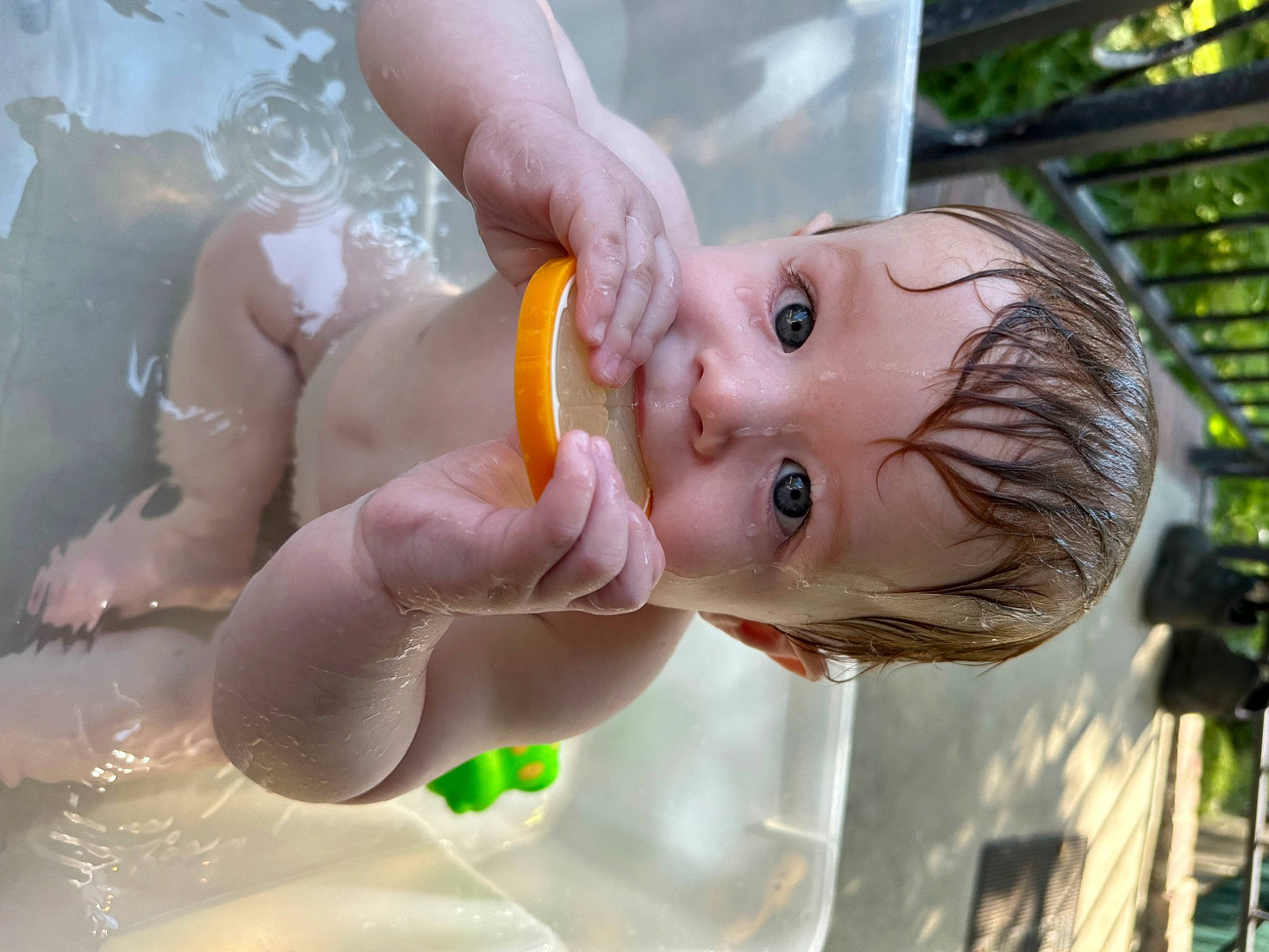 Axl is registered to the contest to win money with this photo: baby, baby_food, baby_products, bathing, chest, child, fun, gesture, grass, happy, leisure, liquid_bubble, nail, nose, peach, person, recreation, thumb, toddler, toy