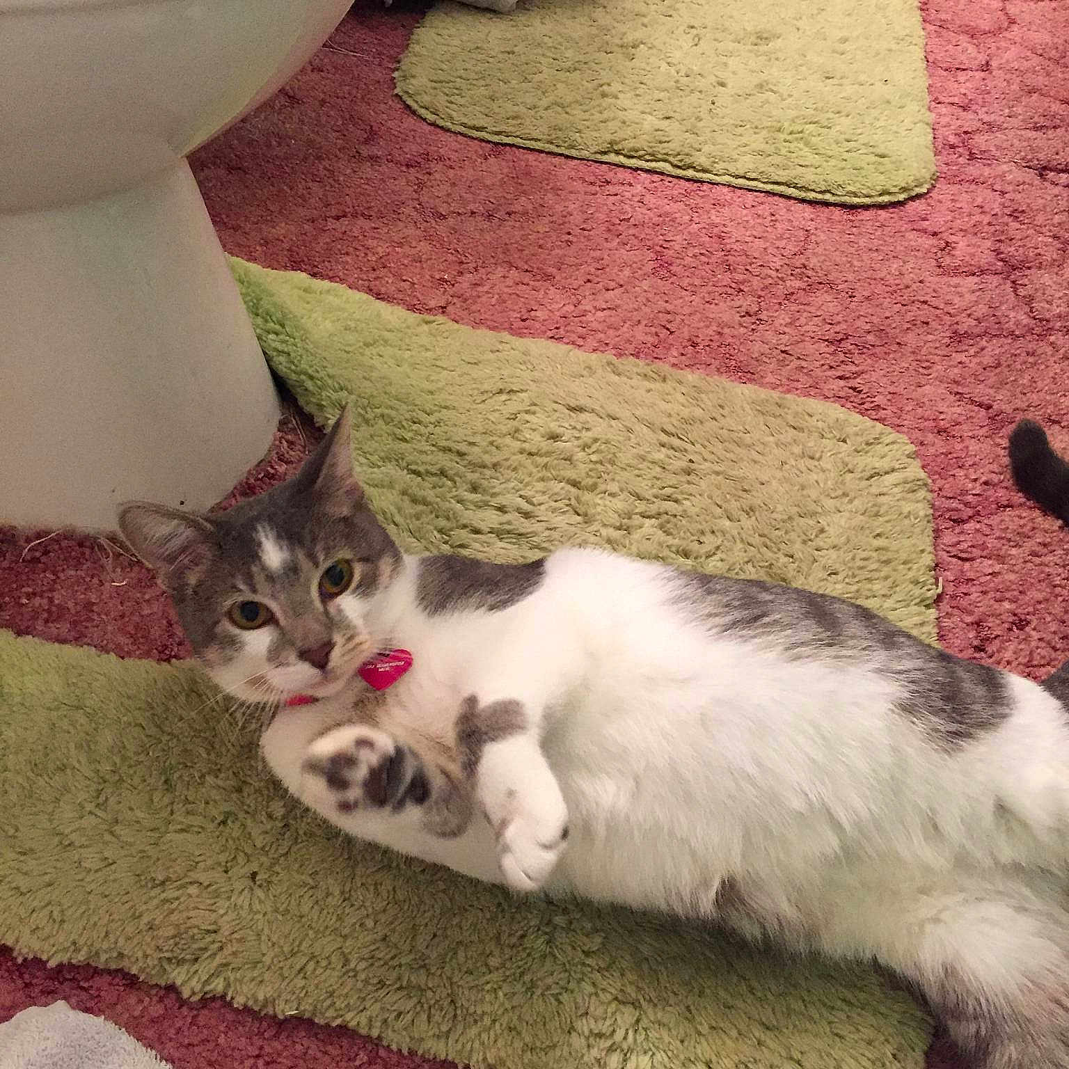 Mika is registered to the contest to win money with this photo: