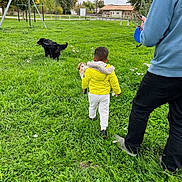 Fidji participe au concours pour gagner de l'argent avec cette photo : adult, casual, child, daytime, dog, grass, greenery, hoodie, jacket, large_dog, leash, nature, outdoors, park, person, playground, small_dog, toddler, trees, walking