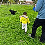 adult, casual, child, daytime, dog, grass, greenery, hoodie, jacket, large_dog, leash, nature, outdoors, park, person, playground, small_dog, toddler, trees, walking