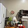dog, chef_hat, cooking_pot, vegetables, kitchen_counter, refrigerator, rolling_pin, tomato, onion, carrot, celery, pepper, utensils, toaster_oven, paper_towel, wall, happy, small_dog, indoor, cute