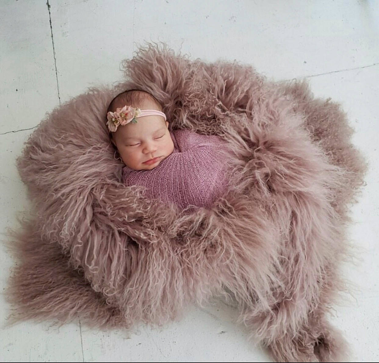 Payton joined the competition — help win amazing prizes! ear, fur, fur_clothing, headgear, headwear, natural_material, outerwear, person, pink, skin, textile, wool