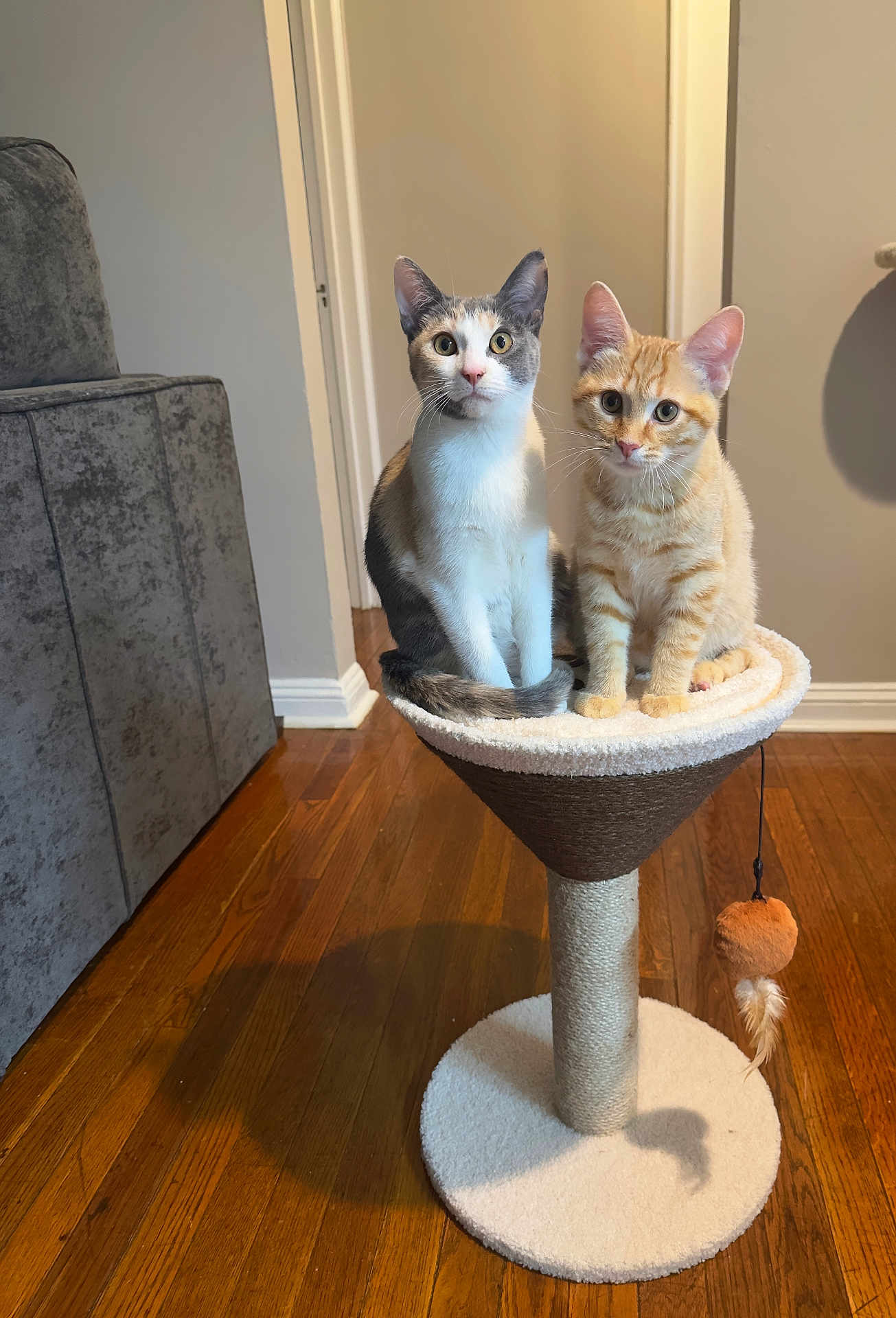 Luna And Leo