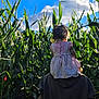 Freya joined the competition — help win amazing prizes! child, cornfield, nature, outdoor, sky, clouds, greenery, person, shoulders, dress, pink, sunlight, plants, summer, daytime, back_view, hair, young, casual_clothing, adventure