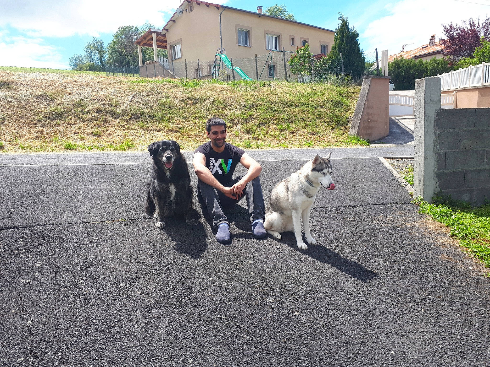 Sultan a rejoint le concours — aidez-le/la à gagner de superbes lots ! berger_blanc_suisse, canidae, carnivore, dog, dog_breed, dog_walking, greenland_dog, kintamani, leash, mammal, non_sporting_group, person, sporting_group, vertebrate, walking, white_shepherd, working_dog