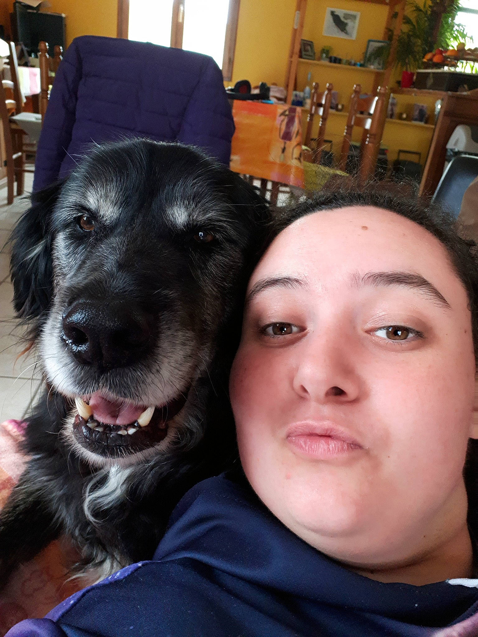 Sultan a rejoint le concours — aidez-le/la à gagner de superbes lots ! canidae, carnivore, companion_dog, dog, dog_breed, head, nose, person, photography, puppy_love, selfie, smile, sporting_group