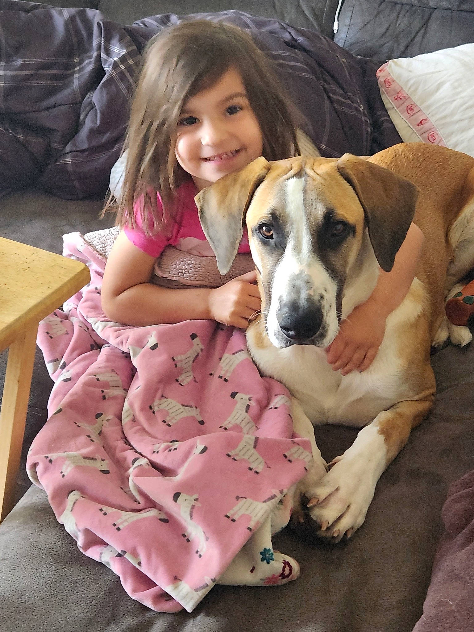 Lyla is registered to the contest to win money with this photo: baby_toddler_clothing, canidae, carnivore, child, comfort, companion_dog, couch, dog, dog_breed, fawn, happy, joy, lap, leisure, person, pink, puppy_love, sitting, smile, snout