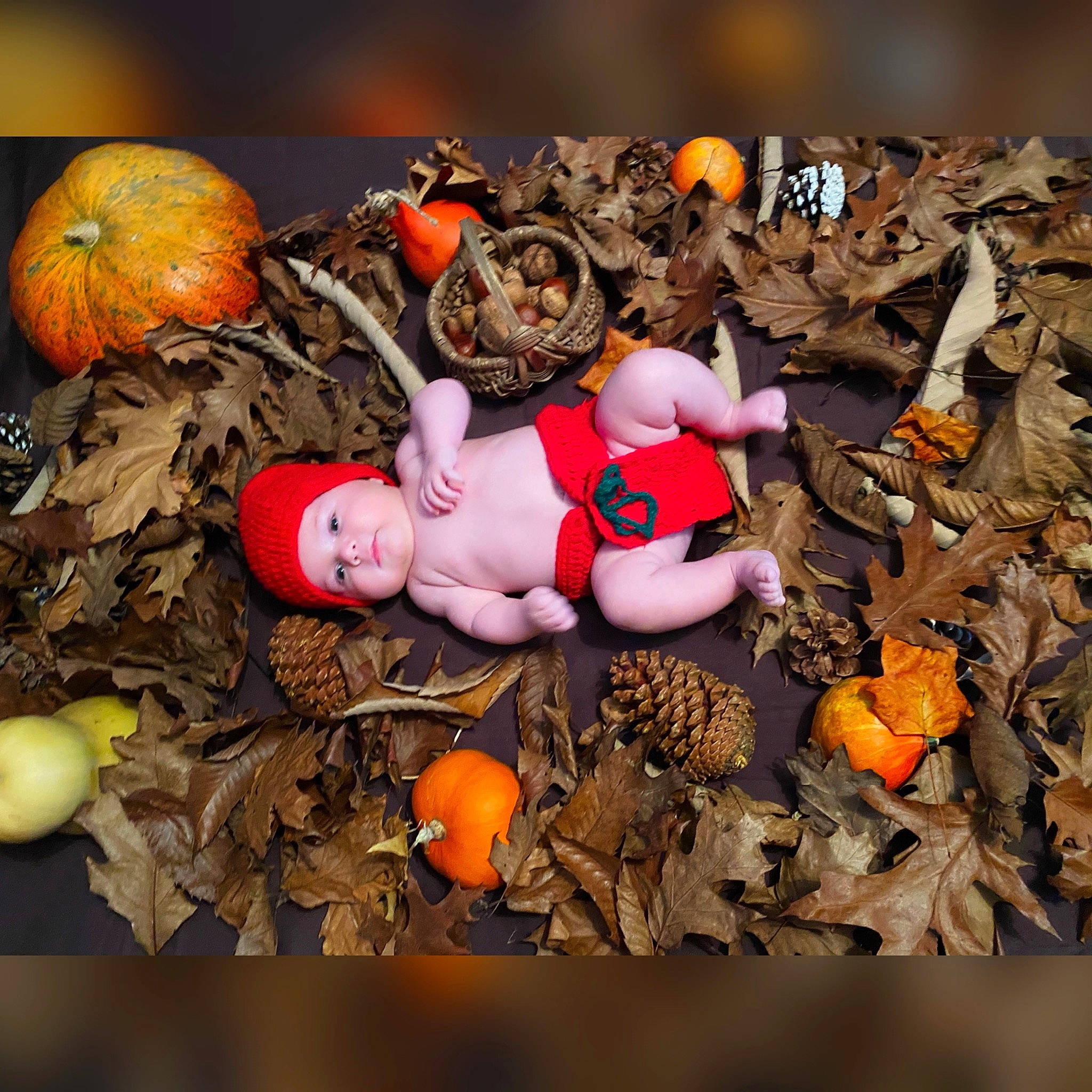 Ambre a rejoint le concours — aidez-le/la à gagner de superbes lots ! autumn, fawn, headwear, person, plant, toy