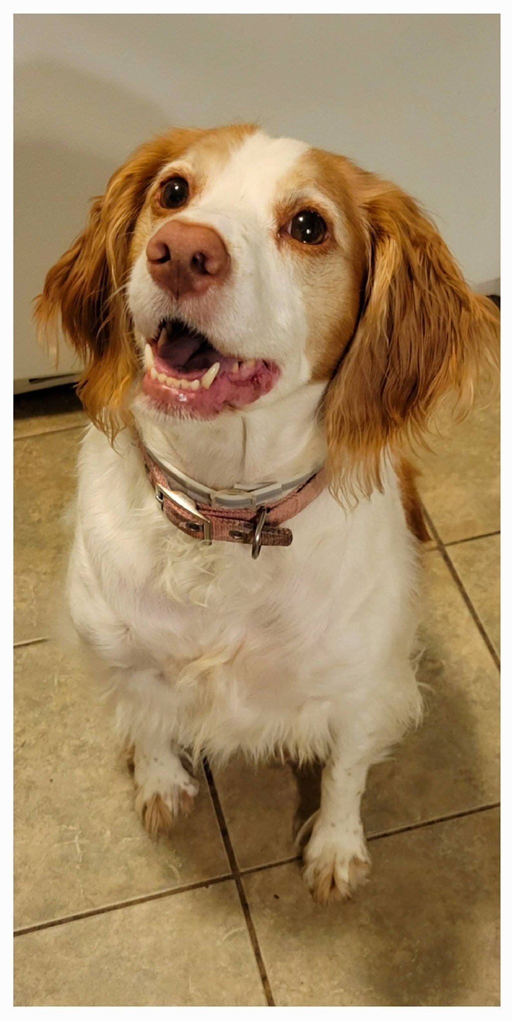 Maddie Gail Lowenstein